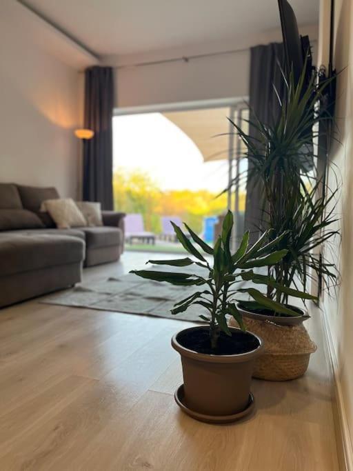 Quinta Da Alfarrobeira Peaceful Countryside Stay Faro Bagian luar foto