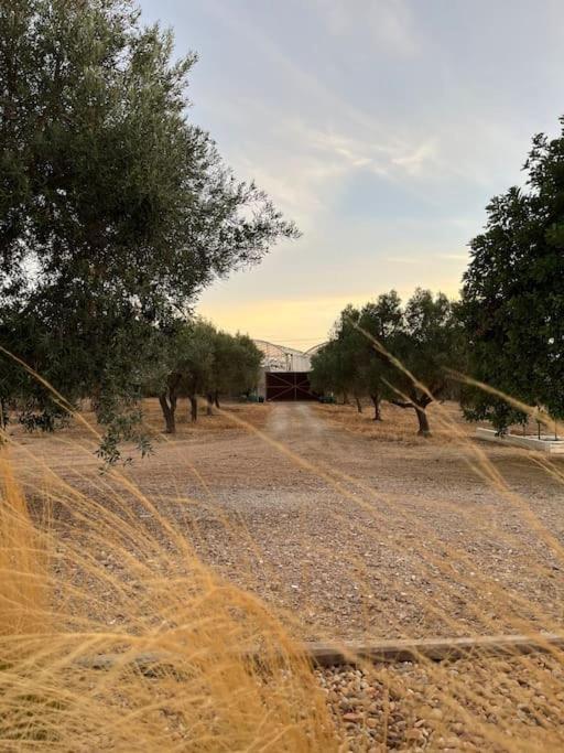 Quinta Da Alfarrobeira Peaceful Countryside Stay Faro Bagian luar foto