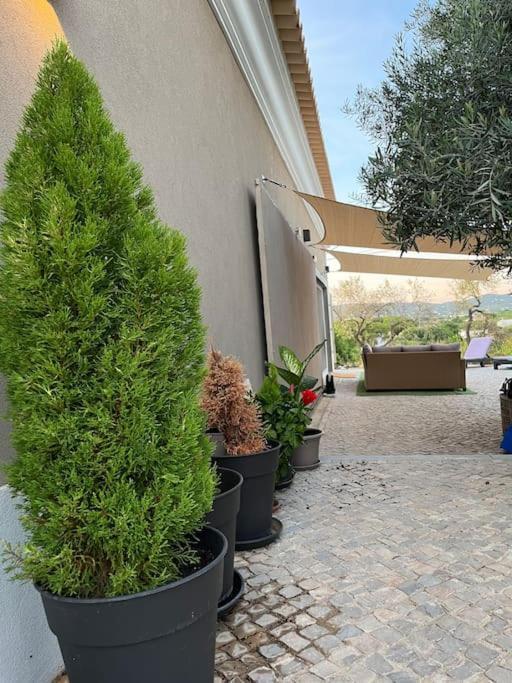 Quinta Da Alfarrobeira Peaceful Countryside Stay Faro Bagian luar foto