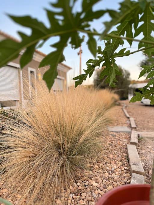 Quinta Da Alfarrobeira Peaceful Countryside Stay Faro Bagian luar foto