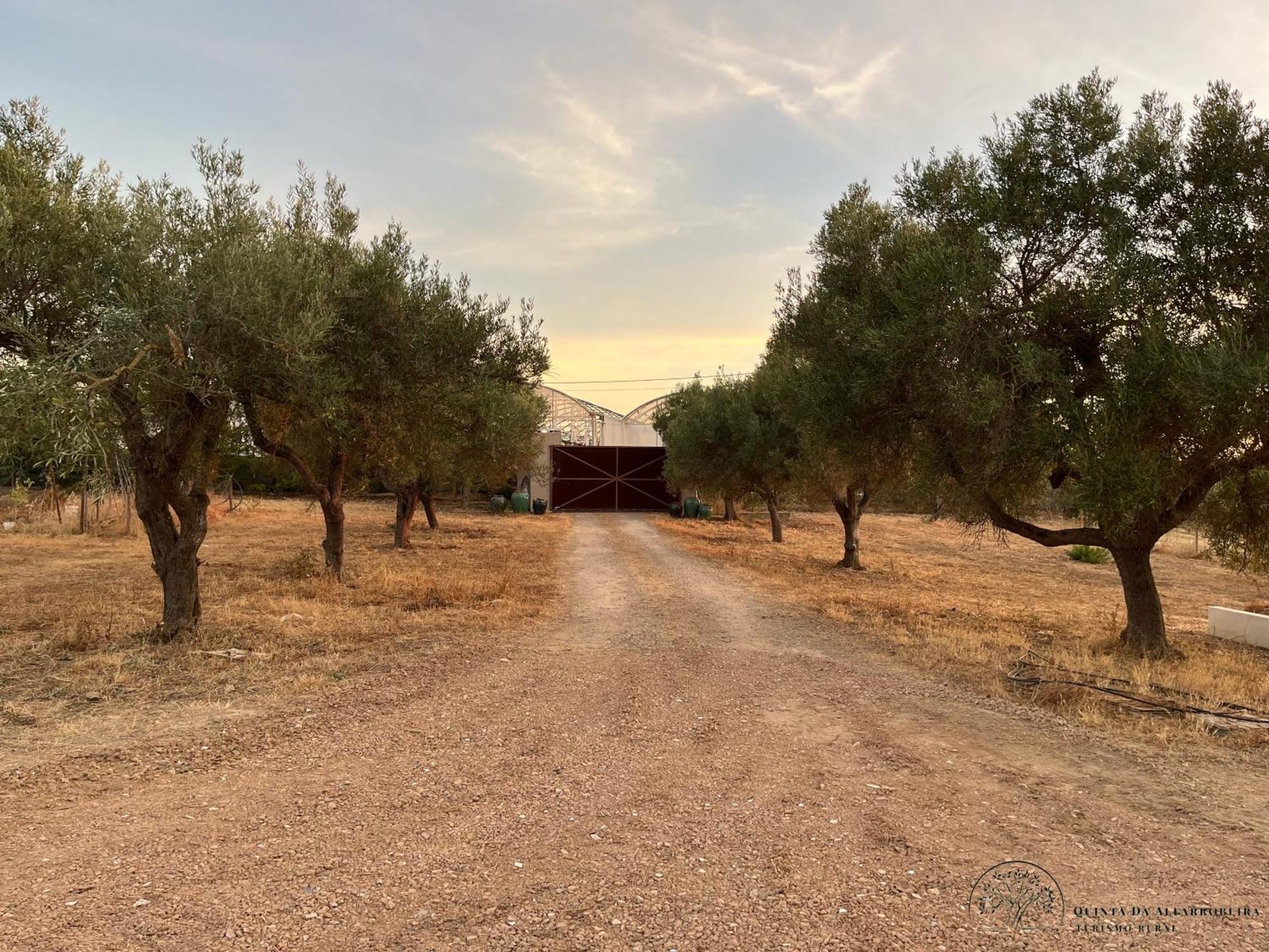 Quinta Da Alfarrobeira Peaceful Countryside Stay Faro Bagian luar foto